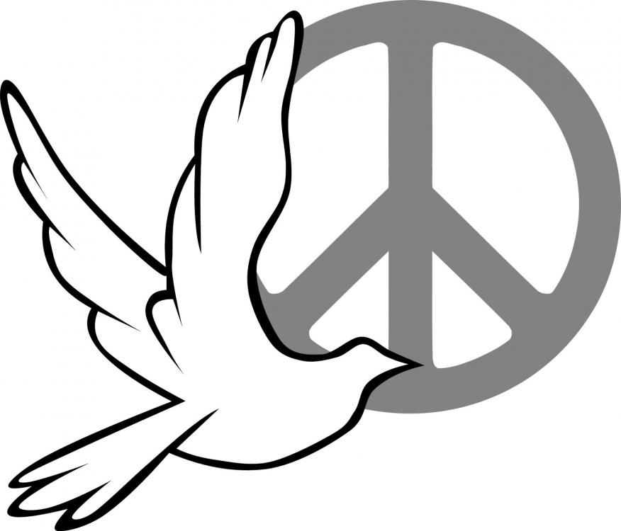 dove-peace-14_png.jpg