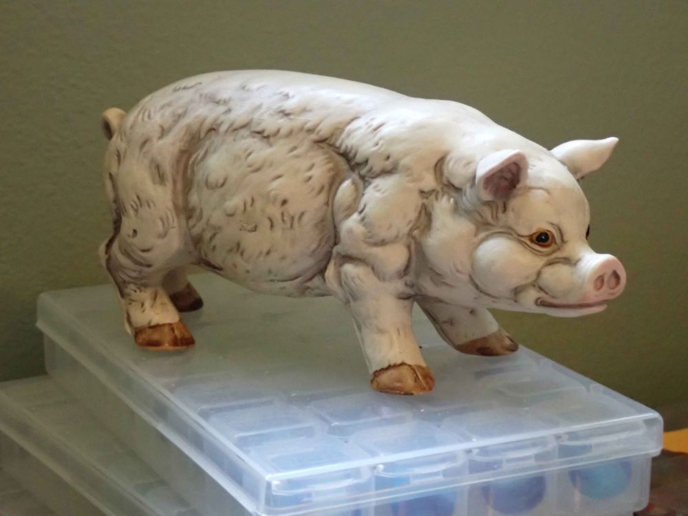 MarblePig.JPG