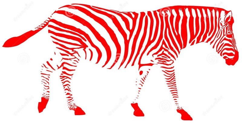 Red Zebra.jpg