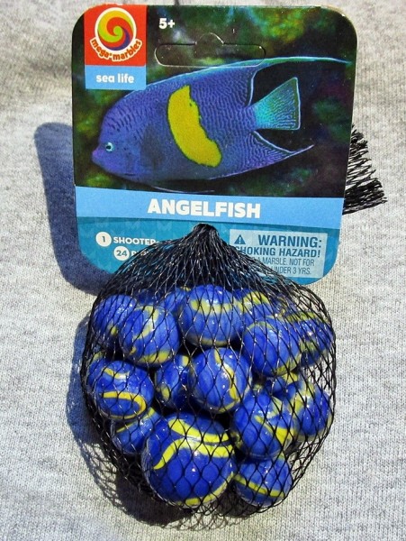 AngelFish.thumb.JPG.4fc1f675369c445f85e8f86d1e7c579b.JPG