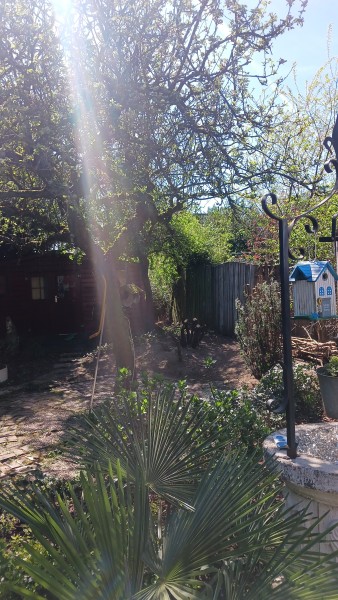 IMG-20250406-WA0002.jpeg
