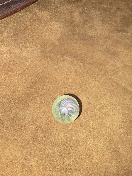 20250524_083917.jpg