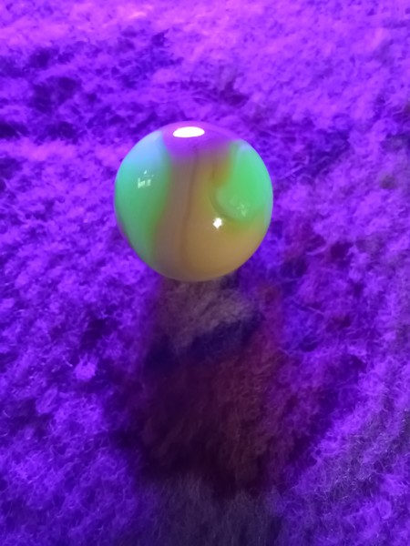 20250619_140806.jpg