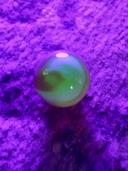 20250619_140946.jpg