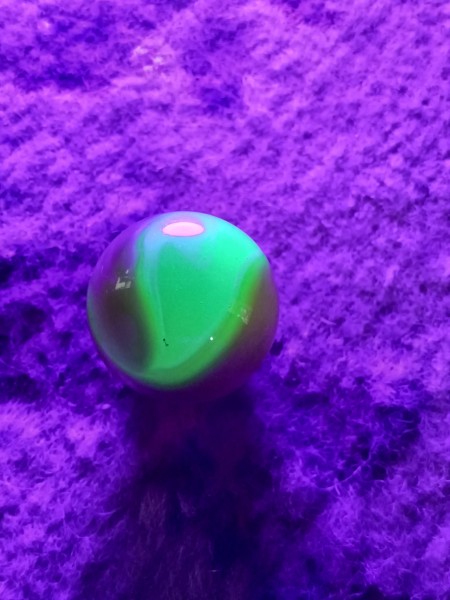 20250619_140957.jpg