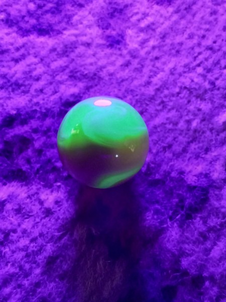 20250619_141012.jpg