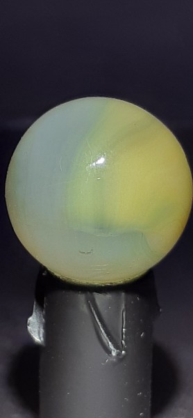 20250627_180454.jpg