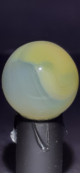 20250627_180510.jpg