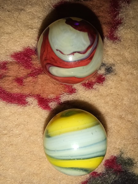 20250629_075344.jpg