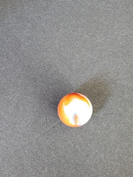 20250629_165436.jpg