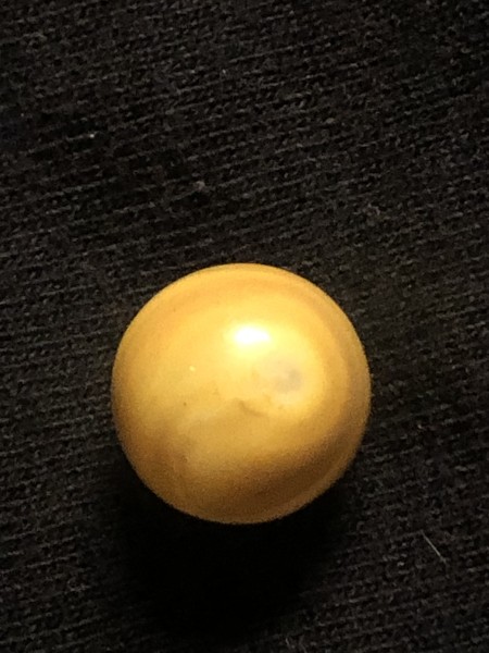 IMG_0458.thumb.jpeg.a71e1ac477523902ce432f734765bffb.jpeg