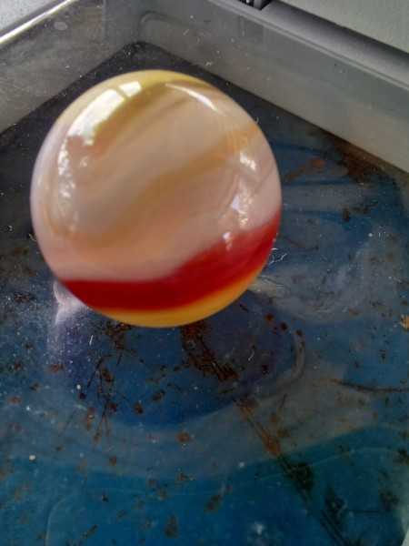 20250702_115115.jpg