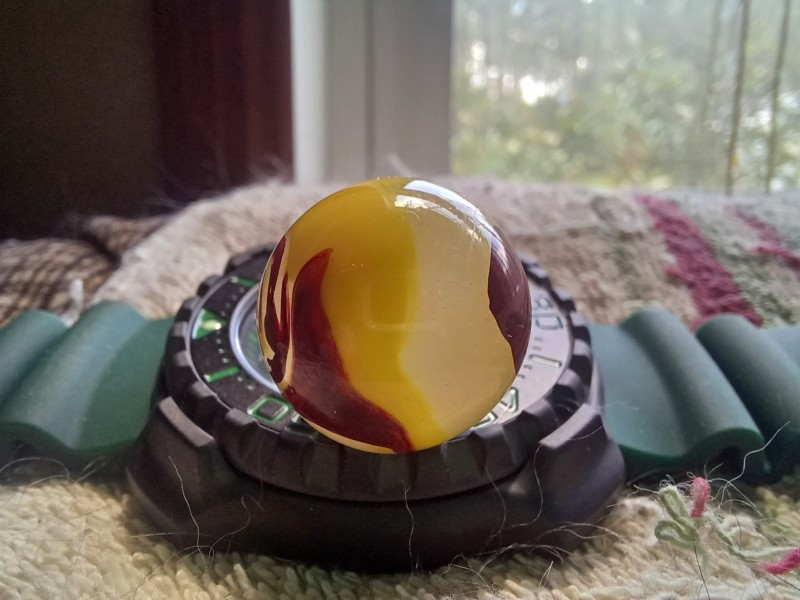 20250719_112730.jpg