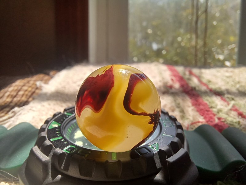 20250719_112802.jpg