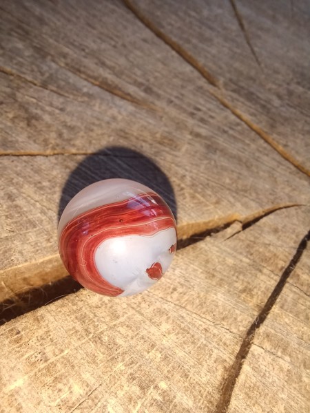 20250719_155751.jpg