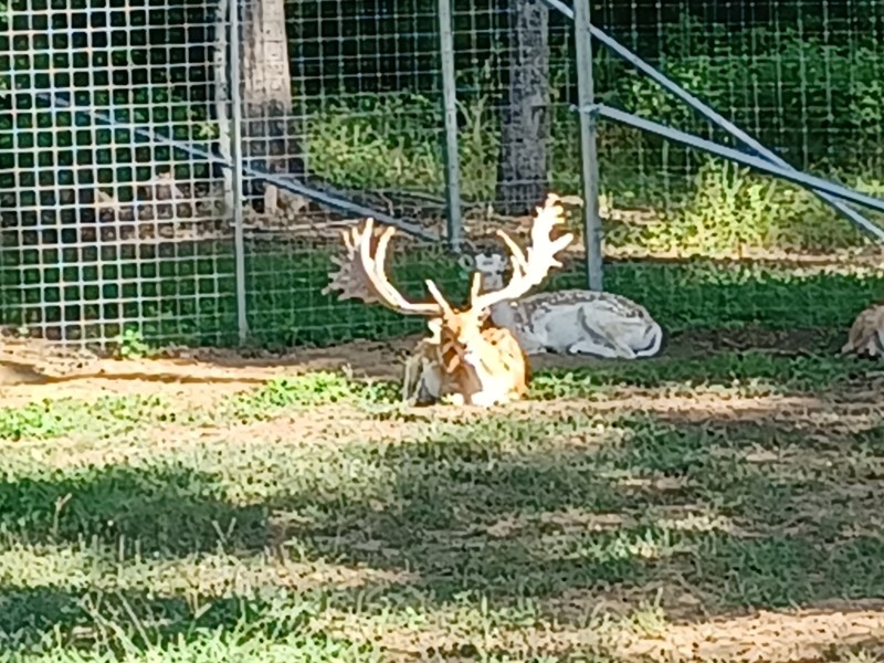 20250722_092025.jpg