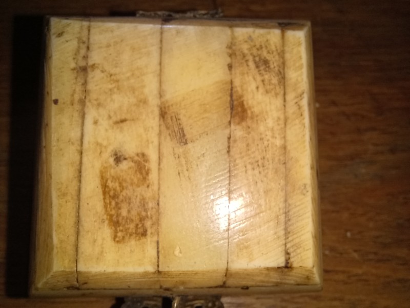 20250725_231216.jpg