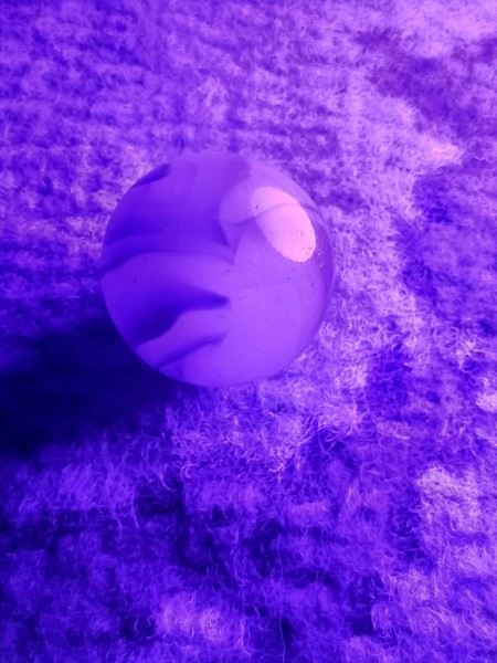 20250726_205226.jpg