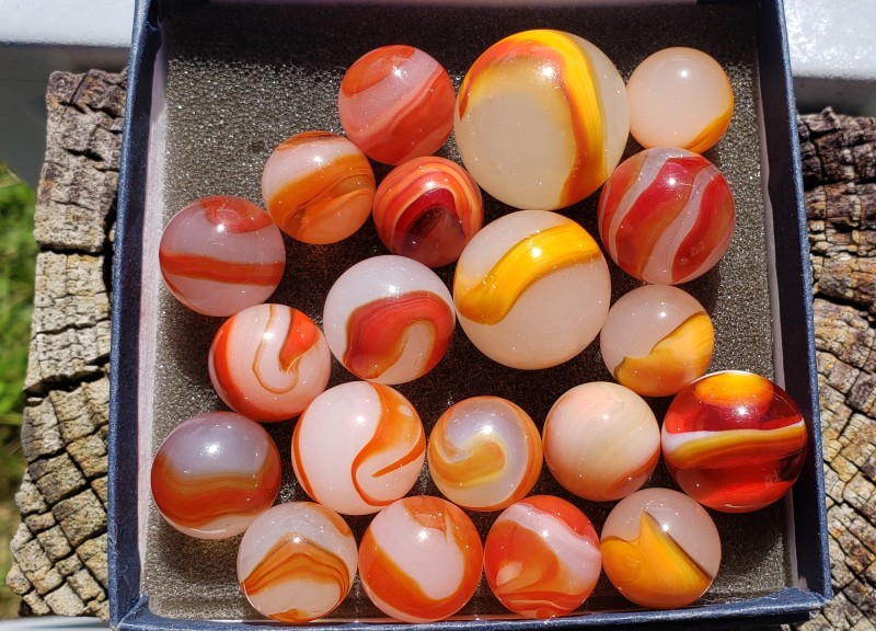 Orange and Red in Sun.jpg