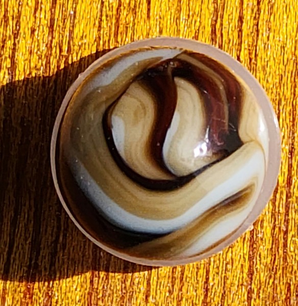 20240327_120549.jpg