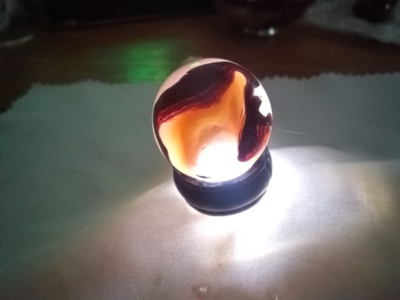 20250802_111543.jpg