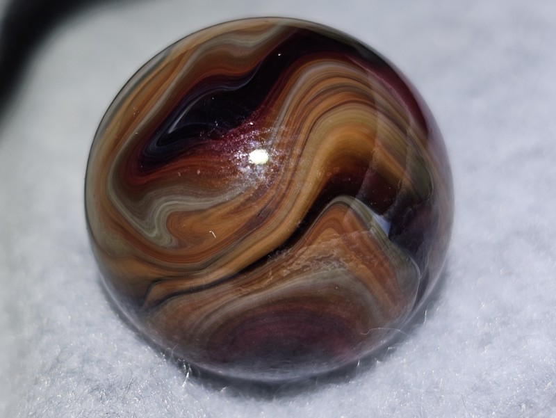 20250808_094244.jpg