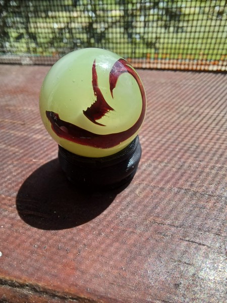 20250808_110919.jpg