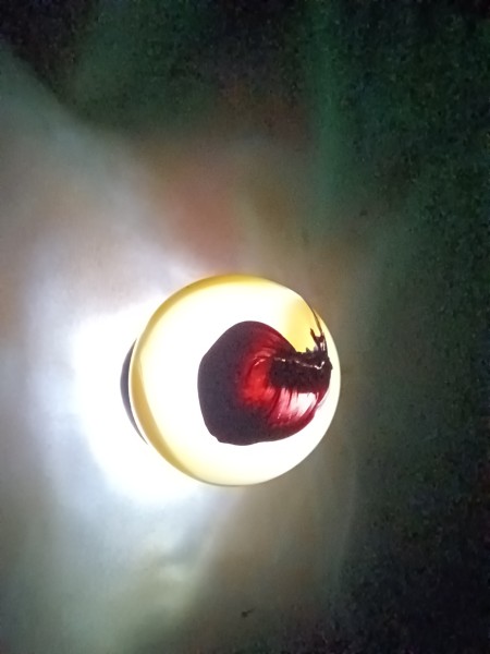 20250808_215918.jpg