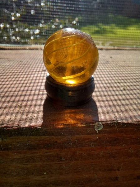 20250810_085339.jpg