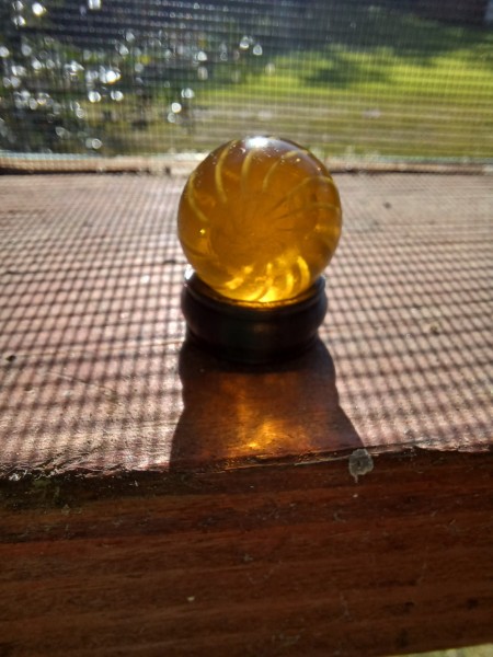 20250810_085349.jpg