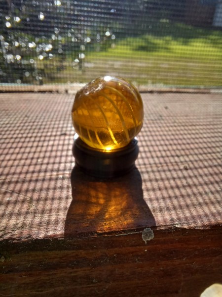 20250810_085410.jpg