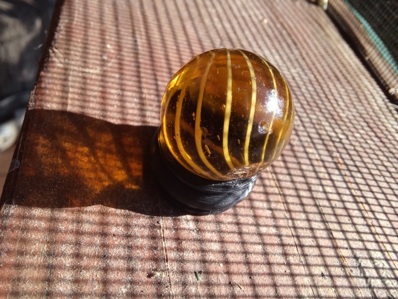 20250810_085538.jpg