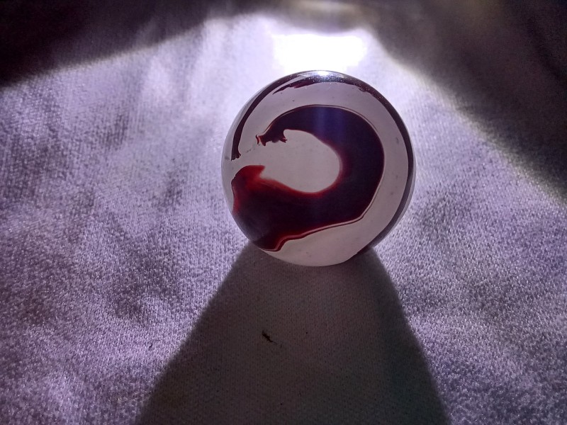 20250811_211334.jpg