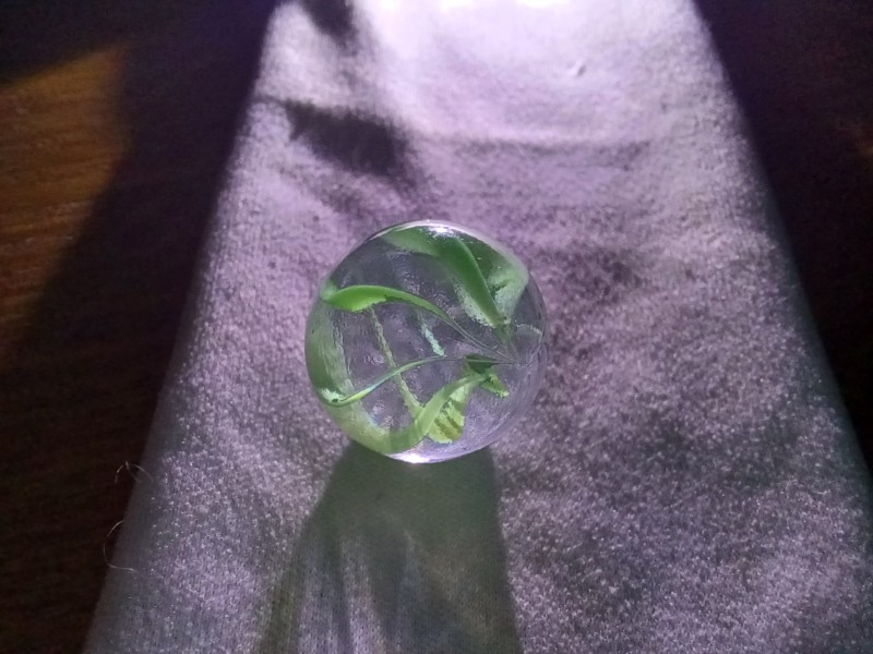 20250814_191339.jpg