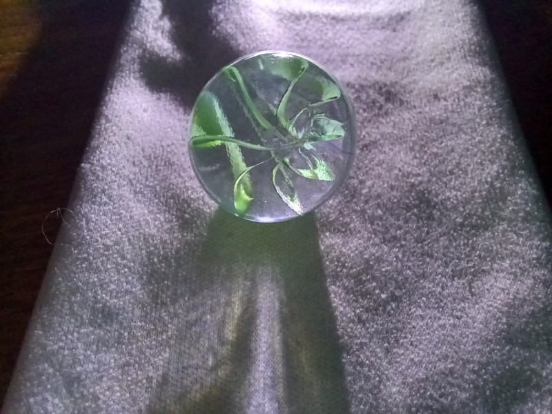 20250814_191350.jpg