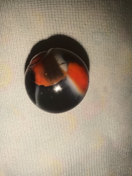 20250816_204232.jpg
