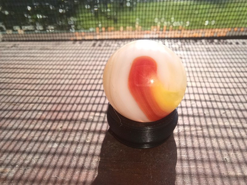 20250817_084458.jpg