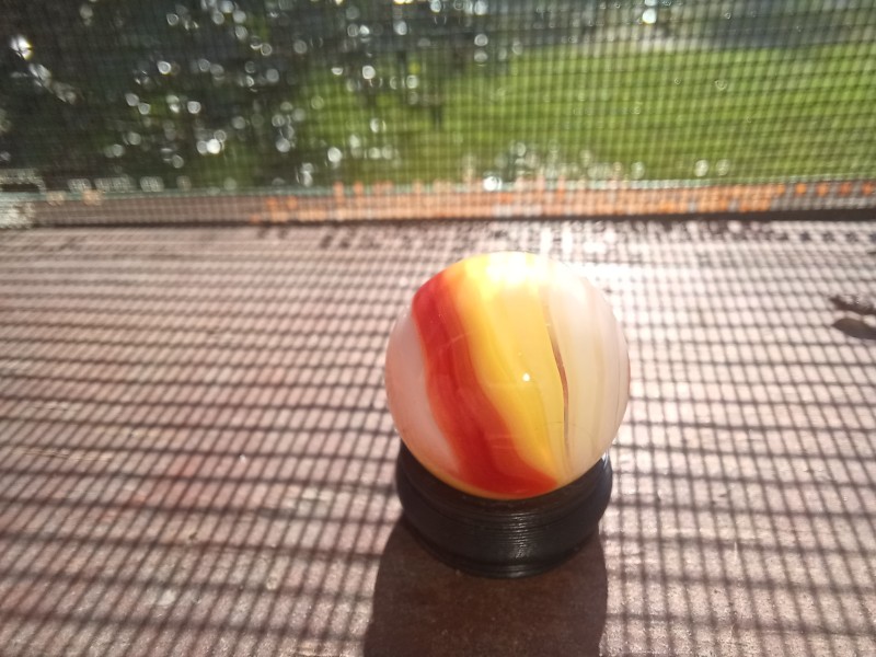 20250817_084517.jpg