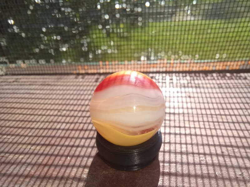 20250817_084531.jpg