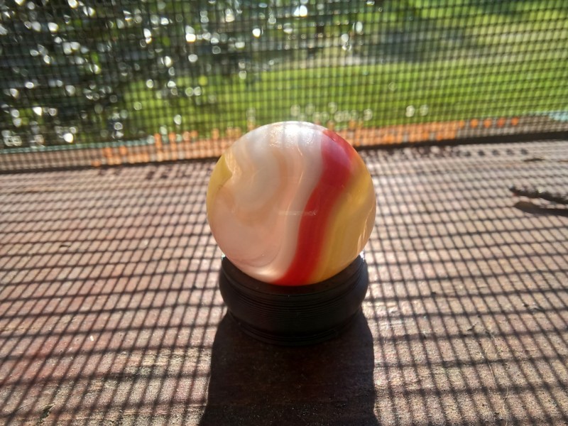 20250817_084636.jpg
