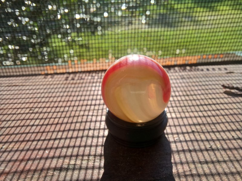 20250817_084648.jpg
