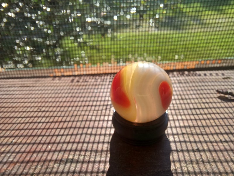 20250817_084711.jpg
