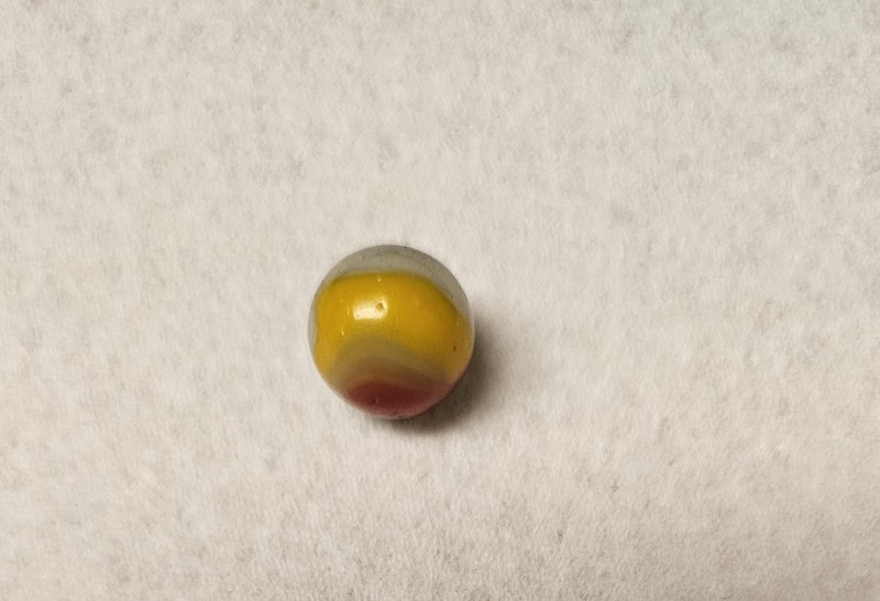 20250824_150340.jpg