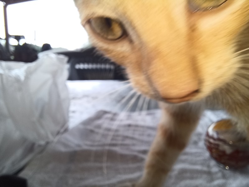 20250827_113013.jpg
