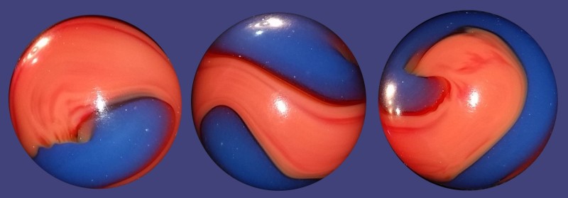 Electric Orange CORAL on blue.jpg