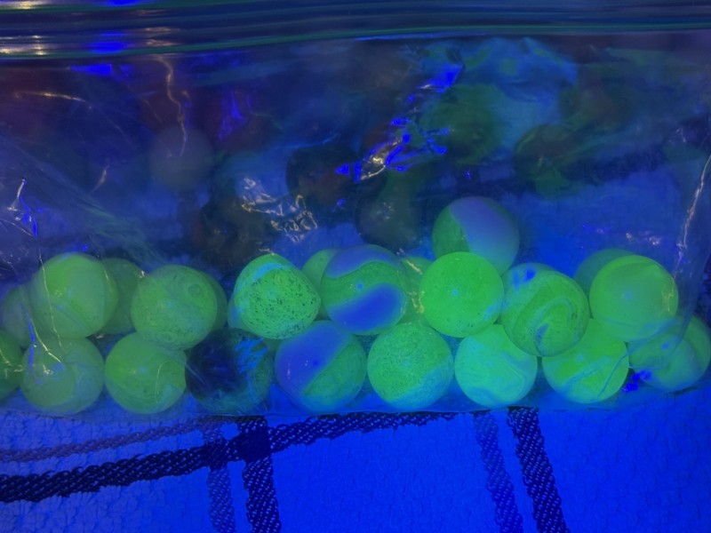 IMG_4214.JPEG