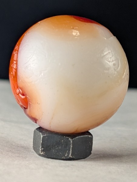 PXL_20250801_165131641.jpg