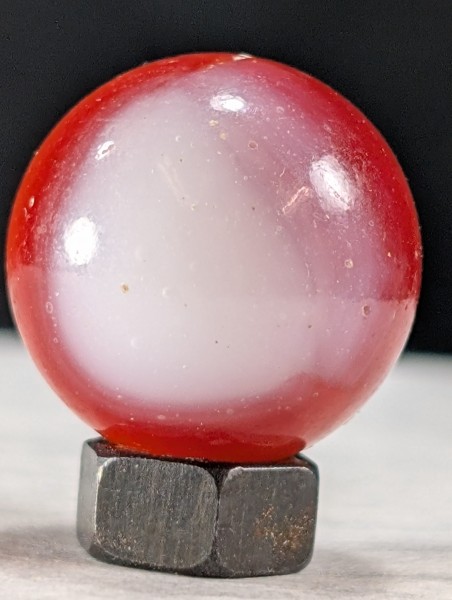 PXL_20250820_023701764.jpg