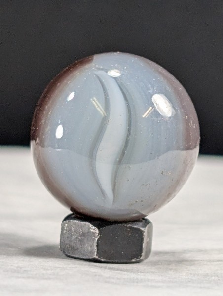 PXL_20250826_195202019.jpg