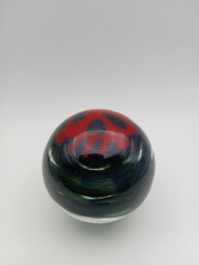 20240921_140038.jpg